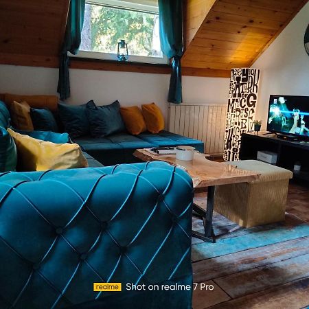 Vila Jezerski Raj Borsko Jezero Extérieur photo