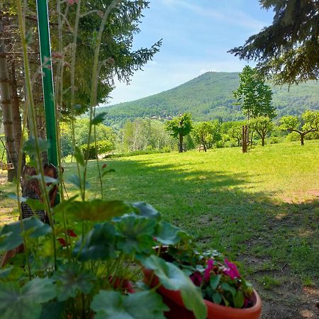 Vila Jezerski Raj Borsko Jezero Extérieur photo