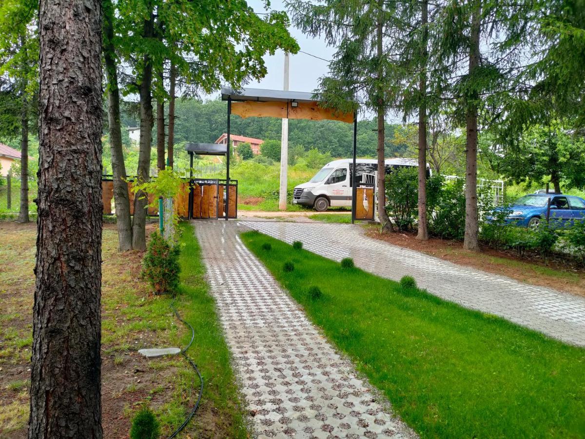 Vila Jezerski Raj Borsko Jezero Extérieur photo