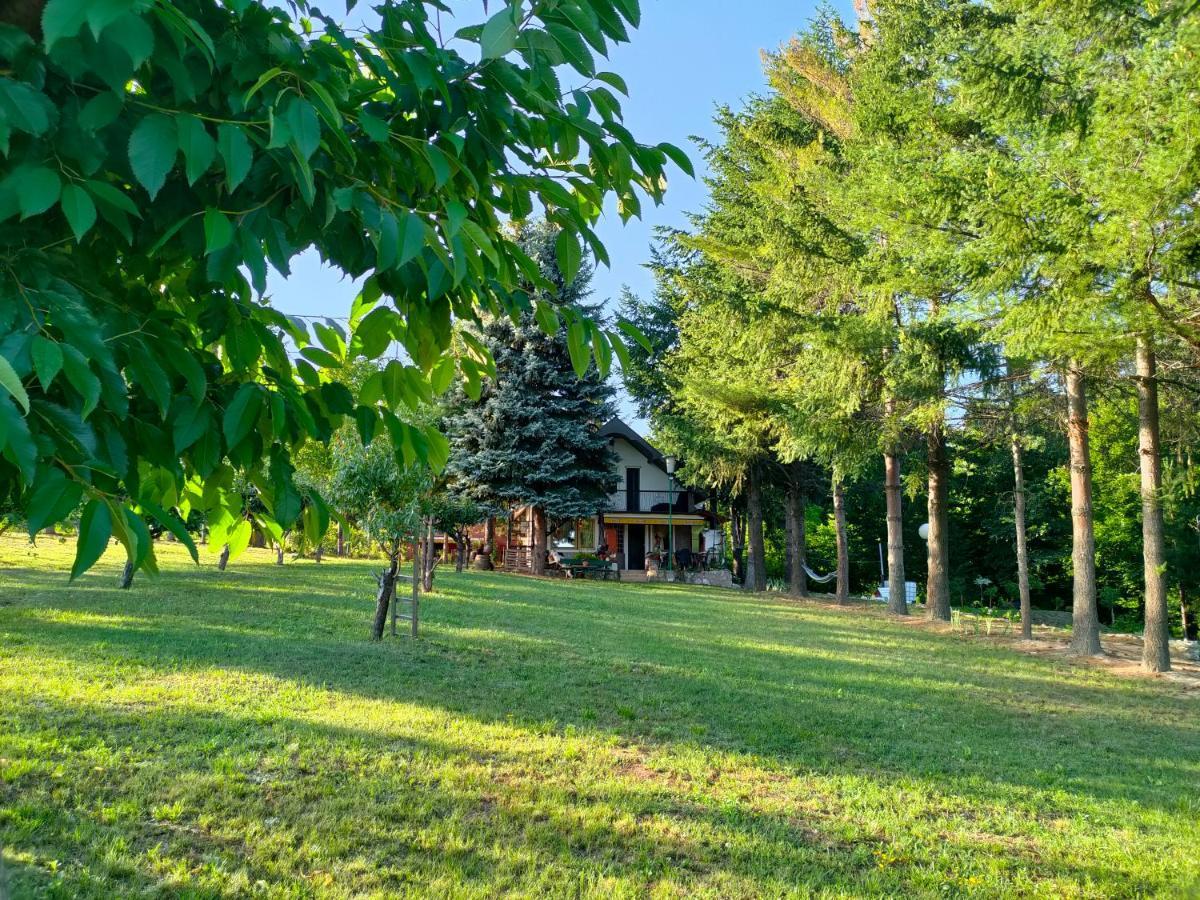 Vila Jezerski Raj Borsko Jezero Extérieur photo