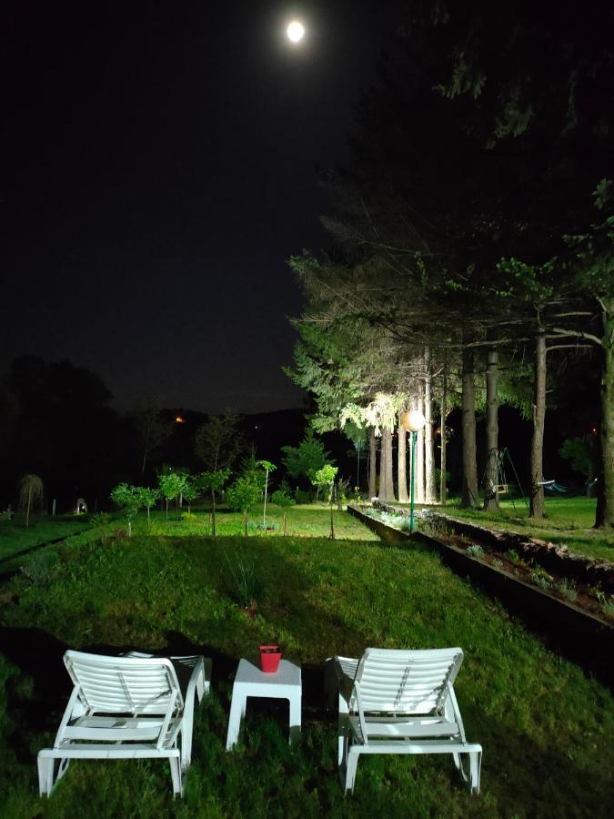 Vila Jezerski Raj Borsko Jezero Extérieur photo
