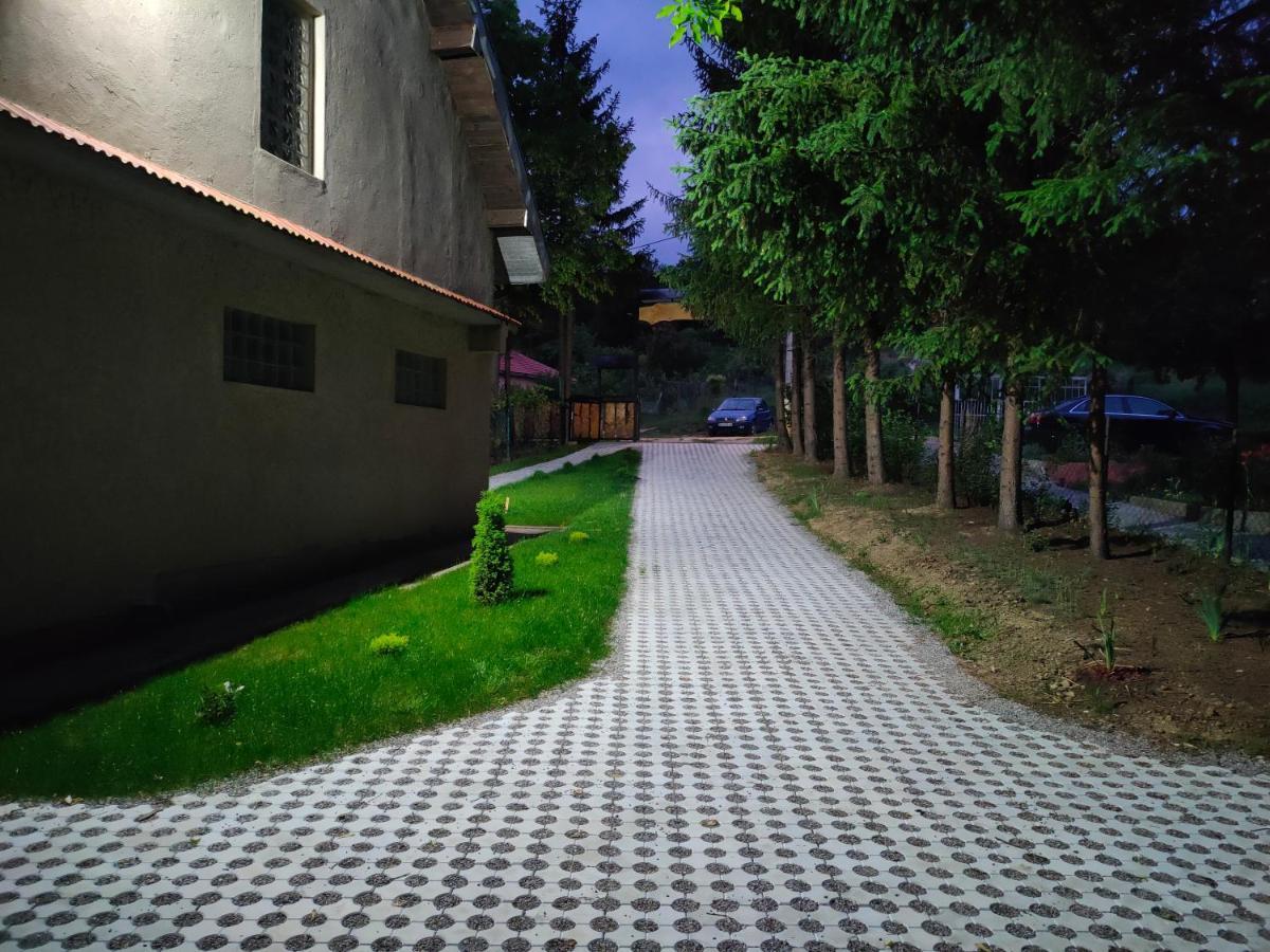 Vila Jezerski Raj Borsko Jezero Extérieur photo