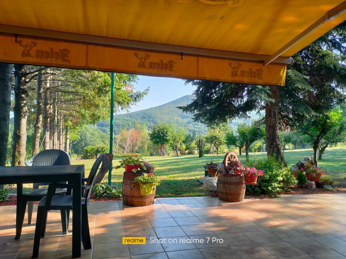 Vila Jezerski Raj Borsko Jezero Extérieur photo