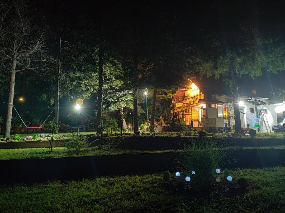 Vila Jezerski Raj Borsko Jezero Extérieur photo
