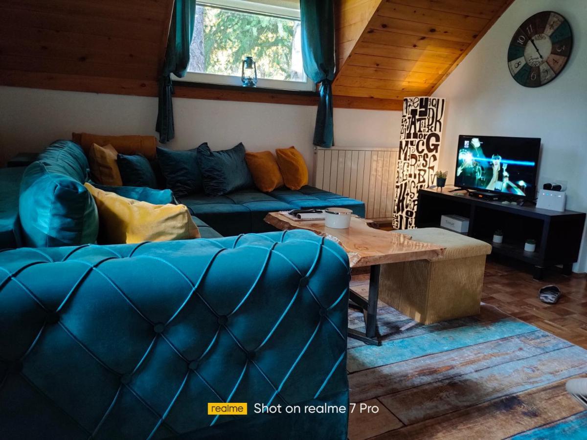 Vila Jezerski Raj Borsko Jezero Extérieur photo