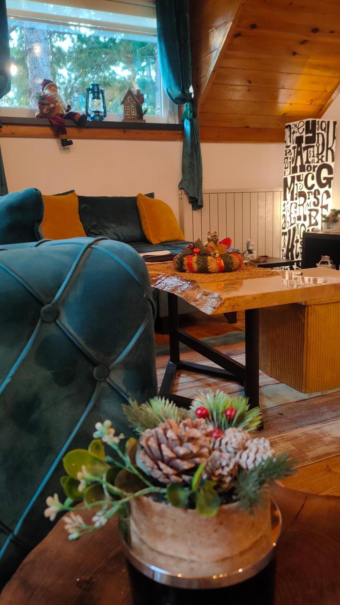Vila Jezerski Raj Borsko Jezero Extérieur photo