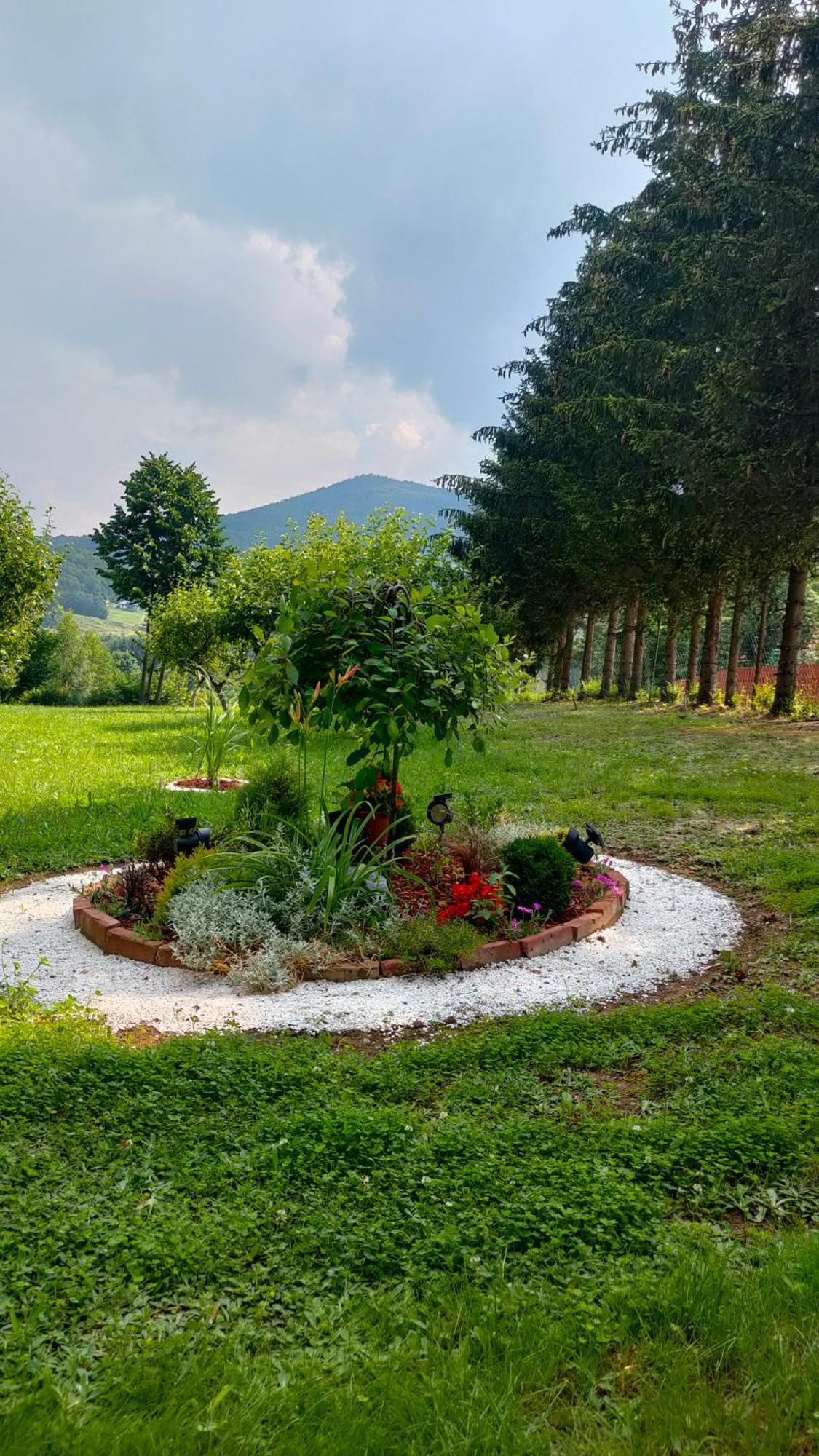 Vila Jezerski Raj Borsko Jezero Extérieur photo