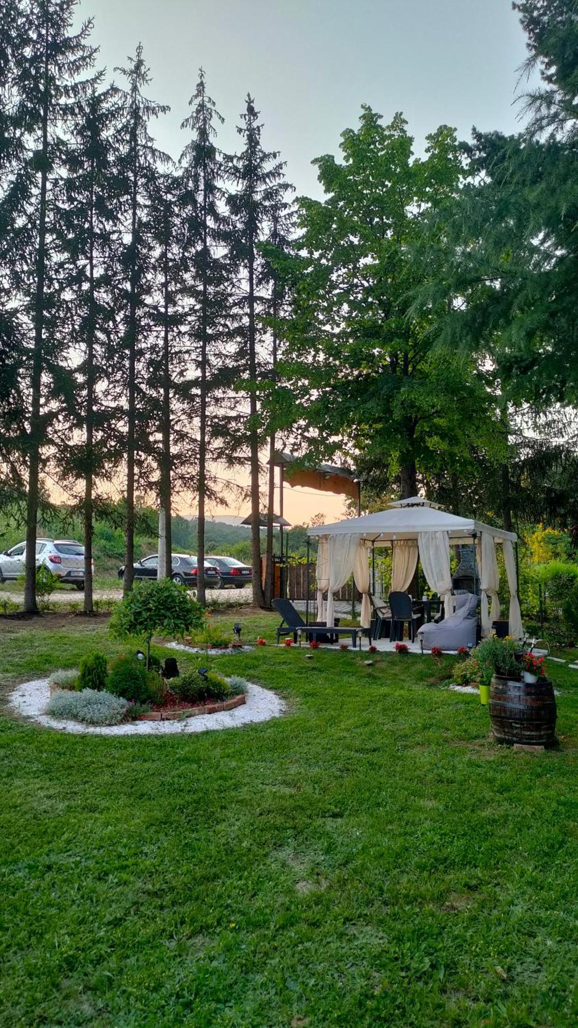 Vila Jezerski Raj Borsko Jezero Extérieur photo