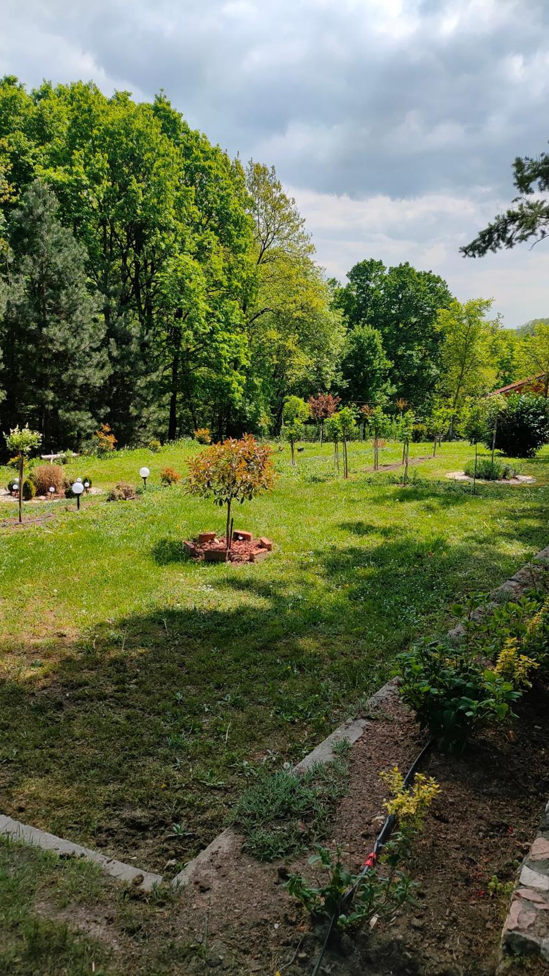 Vila Jezerski Raj Borsko Jezero Extérieur photo