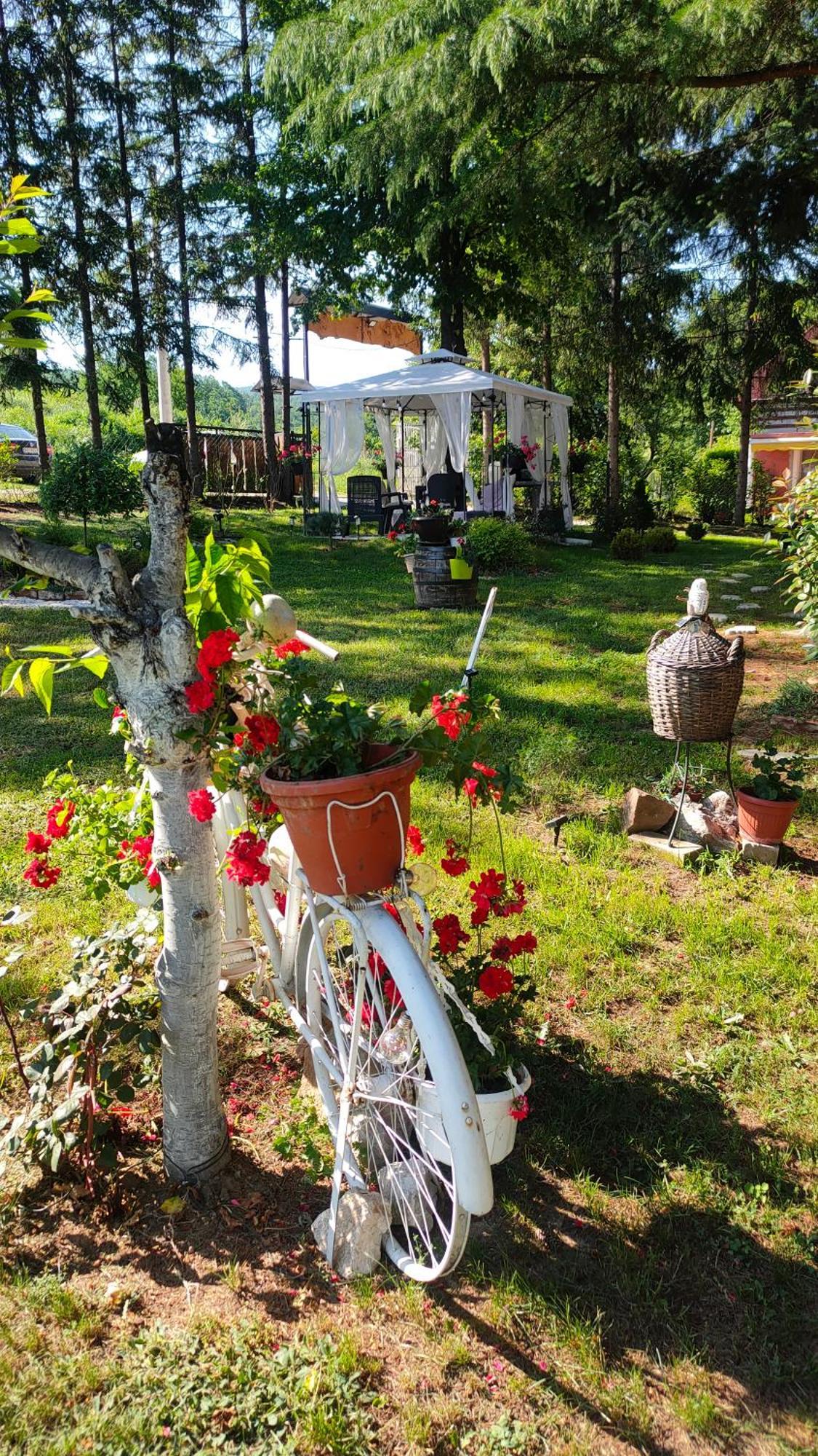 Vila Jezerski Raj Borsko Jezero Extérieur photo