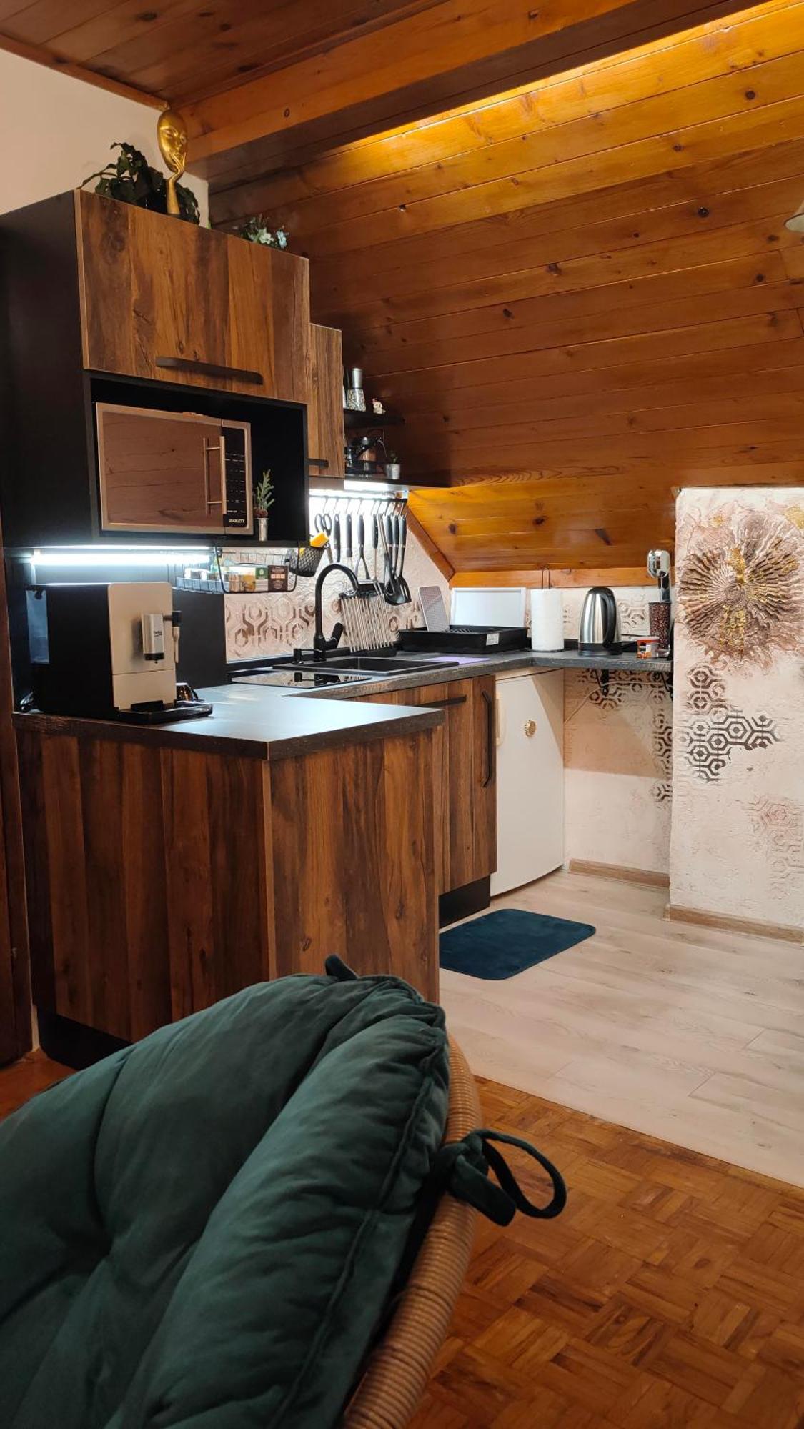 Vila Jezerski Raj Borsko Jezero Extérieur photo